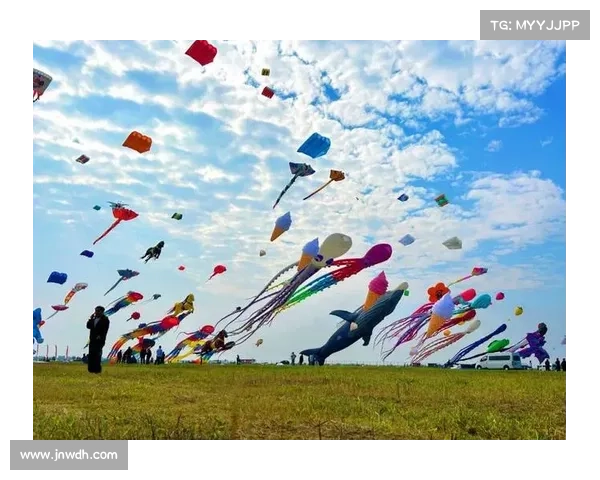 现代设计下的中国风筝国际盛会